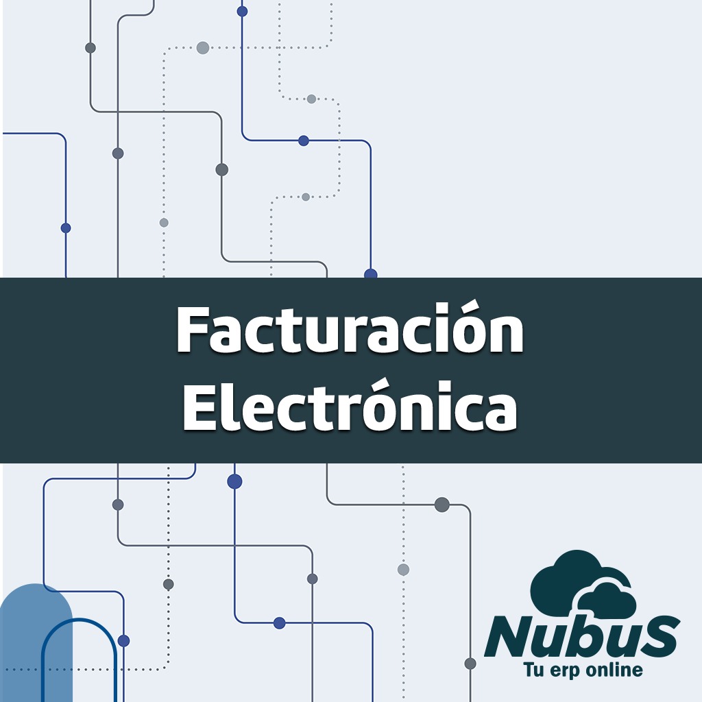 Facturación electronica (Plan Anual)